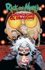 Jim Zub: Rick and Morty vs. Dungeons & Dragons, Buch
