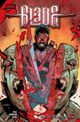 Bryan Hill: Blade, Buch