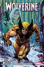 Titel: Wolverine. Untertitel: Blutiger Schnee. Im Schnee laufender Wolverine mit Krallen, Frau mit Waffe im Hintergrund. Comicstil.