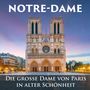 : Notre-Dame, Buch