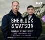 : Sherlock & Watson - Neues aus der Baker Street. Die Abenteuer mit dem Blutdiamanten (Fall 13), CD,CD