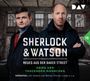 : Sherlock & Watson - Neues aus der Baker Street - Krieg der tanzenden Männchen (Fall 15), CD,CD