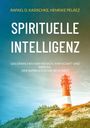 Rafael D. Kasischke: Spirituelle Intelligenz, Buch