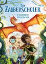 Anna Taube: Der Zauberschüler (Band 3) - Im Schatten des roten Drachen, Buch