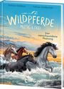 Sabine Giebken: Wildpferde - mutig und frei (Band 4) - Der verschwundene Mustang, Buch