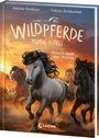 Sabine Giebken: Wildpferde - mutig und frei (Band 5) - Rauch über der Prärie, Buch