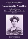 Grete Meisel-Hess: Gesammelte Novellen, Buch