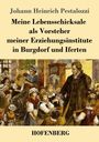 Johann Heinrich Pestalozzi: Meine Lebensschicksale als Vorsteher meiner Erziehungsinstitute in Burgdorf und Iferten, Buch