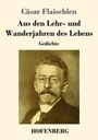 Cäsar Flaischlen: Aus den Lehr- und Wanderjahren des Lebens, Buch