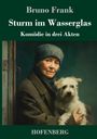 Bruno Frank: Sturm im Wasserglas, Buch