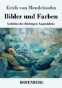 Erich Von Mendelssohn: Bilder und Farben, Buch