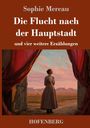 Titel: "Die Flucht nach der Hauptstadt", Autorin: Sophie Mereau. Eine Frau steht in einer Scheune, schaut Richtung Stadt.