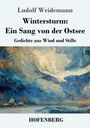 „Wintersturm: Ein Sang von der Ostsee. Gedichte aus Wind und Stille“ von Ludolf Weidemann. Malerei: fliegende Möwe.
