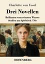 Charlotte von Cosel: Drei Novellen. Illustrationen von Frauen in einem eleganten Innenraum. HOFENBERG.