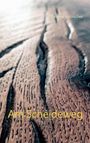 Thomas Aebischer: Am Scheideweg, Buch