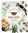 Stefanie Eberhard: Watercolor Wald und Wiese, Buch