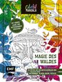 : Colorful Mandala - Magie des Waldes, Buch