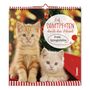 "Auf Samtpfoten durch den Advent. 24 neue Katzengeschichten." Zwei Kätzchen sitzen auf gestreiftem Stoff vor verschwommener Dekoration.