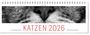 Vivendi Ars: Tischkalender Katzen 2026, KAL