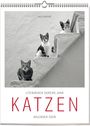 „Literarisch durchs Jahr. KATZEN. Kalender 2028.“ Drei Katzen sitzen auf weißen Stufen.