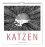 „Der große literarische KATZEN Kalender 2028“. Eine Katze schläft auf großen, radial angeordneten Blättern.