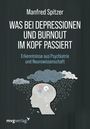 Manfred Spitzer: Was bei Depressionen und Burnout im Kopf passiert, Buch