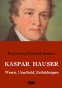 Georg Friedrich Daumer: Kaspar Hauser - Wesen, Unschuld, Erduldungen, Buch