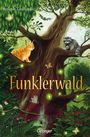 Stefanie Taschinski: Funklerwald, Buch