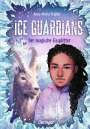 Anna Maria Praßler: Ice Guardians 2. Der magische Eissplitter, Buch
