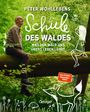 Peter Wohlleben: Peter Wohllebens Schule des Waldes, Buch