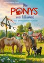 Kathrin Lena Orso: Die Ponys von Lillasund 4. Das Mittsommer-Turnier, Buch