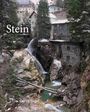 Text: "Stein", "Gerrit Engel". Eine winterliche Szenerie mit Wasserfall, Felsen und alten Gebäuden, umgeben von Tannen.