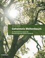 Valruna Loacker: Geheimnis Weltenbaum, Buch