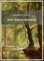 "Adalbert Stifter, DER NACHSOMMER, LIWI VERLAG" auf einer Illustration mit Bäumen an einem Fluss im Sonnenlicht.