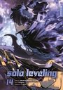 Chugong: Solo Leveling 14, Buch