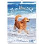 Text: "Meine kleine Welt", "Tier-Kalender mit Bibelworten", "2027". Hund spielt im Wasser, Hintergrund mit Wellen.