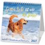 „Gottes Liebe ist wie die Sonne“, „Tierkalender mit Bibelworten“, 2027. Ein Hund spielt im Wasser.