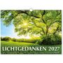 "Lichtgedanken 2027" steht unter einem großen, blühenden Baum mit Sonnenstrahlen und grüner Wiese darunter.