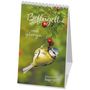 „Beflügelt und geborgen“, „faszinierende Vögel 2027“. Eine Blaumeise hängt kopfüber an einem Ast mit roten Beeren.