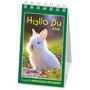 : Hallo Du 2026, KAL