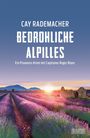 Cay Rademacher: Bedrohliche Alpilles, Buch