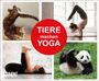 "Tiere machen Yoga" in rotem Kreis. Oben links Katze, oben rechts Frau, unten links Frau, unten rechts Panda auf Gras.