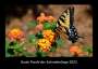 Tobias Becker: Bunte Pracht der Schmetterlinge 2023 Fotokalender DIN A3, KAL