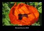 Tobias Becker: Blumenträume 2023 Fotokalender DIN A3, KAL