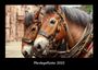 Tobias Becker: Pferdegeflüster 2023 Fotokalender DIN A3, KAL