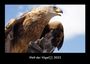 Tobias Becker: Welt der Vögel 2023 Fotokalender DIN A3, KAL