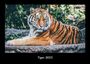 Tobias Becker: Tiger 2023 Fotokalender DIN A3, KAL