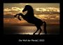 Tobias Becker: Die Welt der Pferde 2023 Fotokalender DIN A3, KAL