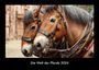 Tobias Becker: Die Welt der Pferde 2024 Fotokalender DIN A3, KAL