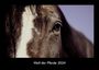 Tobias Becker: Welt der Pferde 2024 Fotokalender DIN A3, KAL
